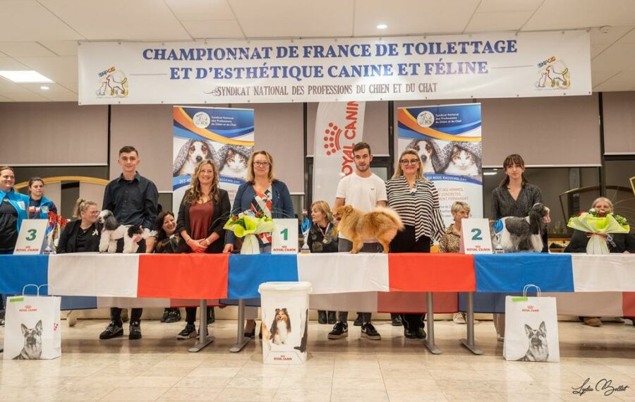 Salon de toilettage pour chien Lyon